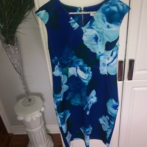 Calvin Klein Formal Dress